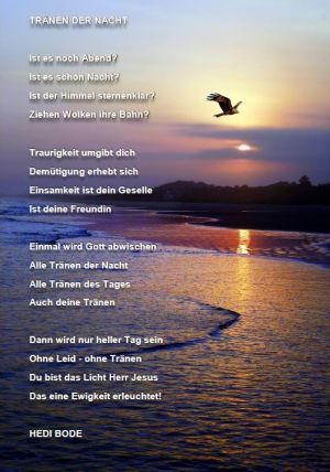 Tränen in der Nacht - Hedi Bode