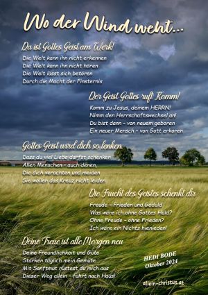 Wo der Wind weht... von Hedi Bode