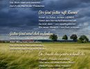 Wo der Wind weht... von Hedi Bode