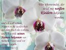 Offenbarung 3,5 - Wer überwindet, der wird mit weißen Kleidern bekleidet werden; und ich will seinen Namen nicht auslöschen aus dem Buch des Lebens, und ich werde seinen Namen bekennen vor meinem Vater und vor seinen Engeln.