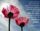 Offenbarung 22,5 - Und es wird dort keine Nacht mehr geben, und sie bedürfen nicht eines Leuchters, noch des Lichtes der Sonne, denn Gott, der Herr, erleuchtet sie; und sie werden herrschen von Ewigkeit zu Ewigkeit.