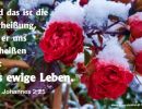 1. Johannes 2,25 - Und das ist die Verheißung, die er uns verheißen hat: das ewige Leben.