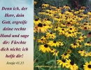 Jesaja 41,13 - Denn ich, der Herr, dein Gott, ergreife deine rechte Hand und sage dir: Fürchte dich nicht; ich helfe dir!