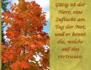 Nahum 1,7 - Gütig ist der Herr, eine Zuflucht am Tag der Not; und er kennt die, welche auf ihn vertrauen
