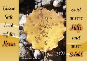 Psalm 33,20 - Unsere Seele harrt auf den Herrn, er ist unsere Hilfe und unser Schild