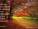 Psalm 146,5 - Wohl dem, dessen Hilfe der Gott Jakobs ist, dessen Hoffnung ruht auf dem Herrn, seinem Gott