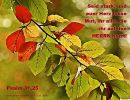 Psalm 31,25 - Seid stark und euer Herz fasse Mut, ihr alle, die ihr auf den Herrn harrt
