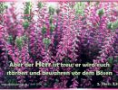 2. Thessalonicher 3,3 - Aber der Herr ist treu; er wird euch stärken und bewahren vor dem Bösen