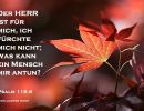 Psalm 118,6 - Der Herr ist für mich, ich fürchte mich nicht; was kann ein Mensch mir antun?