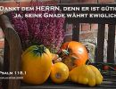 Psalm 118,1 - Dankt dem Herrn, denn er ist gütig, ja, seine Gnade währt ewiglich!