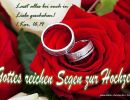 1. Korinther 16,14 - Lasst alles bei euch in Liebe geschehen!