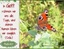 Psalm 44,9 - In Gott rühmen wir uns alle Tage, und deinen Namen loben wir ewiglich. (Sela.)