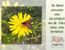 Psalm 97,6 - Die Himmel verkünden seine Gerechtigkeit, und alle Völker sehen seine Herrlichkeit.