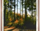 Psalm 84,12 -Denn Gott, der Herr, ist Sonne und Schild; der Herr gibt Gnade und Herrlichkeit, wer in Lauterkeit wandelt, dem versagt er nichts Gutes.