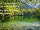 Psalm 52,10 - Ich aber bin wie ein grüner Ölbaum im Haus Gottes; ich vertraue auf die Gnade Gottes für immer und ewig.