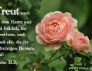 Psalm 32,11 - Freut euch an dem Herrn und seid fröhlich, ihr Gerechten, und jubelt alle, die ihr aufrichtigen Herzens seid!