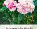 Johannes 3,16 - Denn so sehr hat Gott die Welt geliebt, dass er seinen eingeborenen Sohn gab, damit jeder, der an ihn glaubt, nicht verlorengeht, sondern ewiges Leben hat.