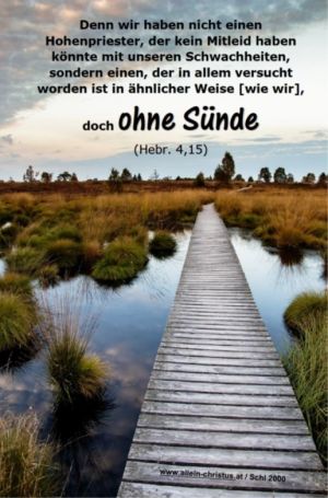 Hebräer 4,15 -  Denn wir haben nicht einen Hohenpriester, der kein Mitleid haben könnte mit unseren Schwachheiten, sondern einen, der in allem versucht worden ist in ähnlicher Weise [wie wir], doch ohne Sünde. 