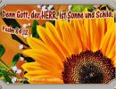Psalm 84,12 - Denn Gott, der Herr, ist Sonne und Schild