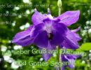 Psalm 54,6 - Siehe, Gott ist mein Helfer; der Herr ist es,  der mein Leben erhält.