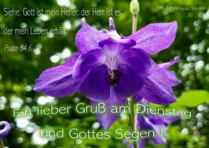 Psalm 54,6 - Siehe, Gott ist mein Helfer; der Herr ist es,  der mein Leben erhält.