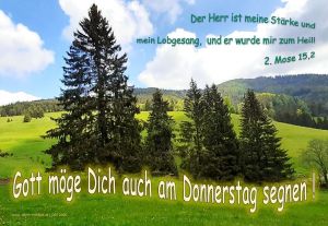 2. Mose 15,2 - Der Herr ist meine Stärke und  mein Lobgesang,  und er wurde mir zum Heil! 