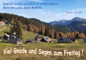 Psalm 119,45 - Und ich werde wandeln in weitem Raum;  denn ich suche deine Befehle.