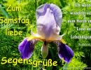 Psalm 116,9 - Ich werde wandeln vor dem Herrn im Land der Lebendigen.
