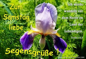 Psalm 116,9 - Ich werde wandeln vor dem Herrn im Land der Lebendigen.