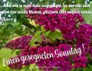 Hebräer 4,10 - ...denn wer in seine Ruhe eingegangen ist, der ruht auch selbst von seinen Werken, gleich wie Gott von den seinen.