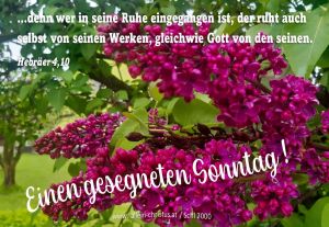 Hebräer 4,10 - ...denn wer in seine Ruhe eingegangen ist, der ruht auch selbst von seinen Werken, gleich wie Gott von den seinen.