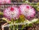 Hebräer 4,10 - ...denn wer in seine Ruhe eingegangen ist, der ruht auch selbst von seinen Werken, gleich wie Gott von den seinen.