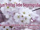 Psalm 3,9 a - Bei dem Herrn ist die Rettung