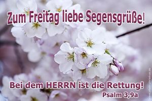 Psalm 3,9 a - Bei dem Herrn ist die Rettung
