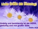 Psalm 145,8 - Gnädig und barmherzig ist der Herr, geduldig und von großer Güte