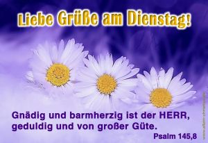 Psalm 145,8 - Gnädig und barmherzig ist der Herr, geduldig und von großer Güte