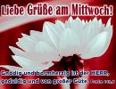 Psalm 145,8 - Gnädig und barmherzig ist der Herr, geduldig und von großer Güte
