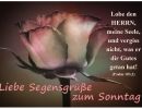 Psalm 103,2 - Lobe den Herrn, meine Seele, und vergiss nicht, was er dir Gutes getan hat
