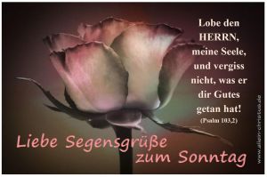 Psalm 103,2 - Lobe den Herrn, meine Seele, und vergiss nicht, was er dir Gutes getan hat