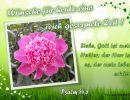 Wünsche für heute eine reich gesegnete Zeit! Psalm 54,6: Siehe, Gott ist mein Helfer; der Herr ist es, der mein Leben erhält.