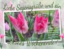 Spr. 3,26 - Denn der Herr wird deine Zuversicht sein und deinen Fuß bewahren vor dem Fallstrick.
