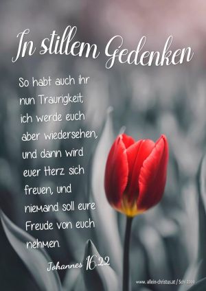 Johannes 16,22 - So habt auch ihr nun Traurigkeit; ich werde euch aber wiedersehen, und dann wird euer Herz sich freuen, und niemand soll eure Freude von euch nehmen.