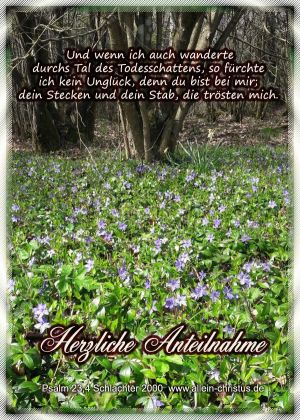 Psalm 23,4 - Und wenn ich auch wanderte durch's Tal des Todesschattens, so fürchte ich kein Unglück, denn du bist bei mir, dein Stecken und dein Stab, die trösten mich.