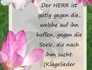 Klagelieder 3,25 - Der Herr ist gütig gegen die, welche auf ihn hoffen, gegen die Seele, die nach ihm sucht