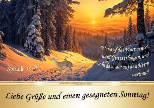 Spr. 16,20 - Wer auf das Wort achtet, wird Gutes erlangen, und wohl dem, der auf den Herrn vertraut!