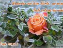 Psalm 139,14 b - Wunderbar sind deine Werke, und meine Seele erkennt das wohl!
