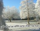Jesaja 40,31 a - ...aber die auf den Herrn harren, kriegen neue Kraft