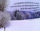 Psalm 31,8 - Ich will frohlocken und mich freuen an deiner Gnade, denn du hast mein Elend angesehen, du hast auf die Nöte meiner Seele geachtet.