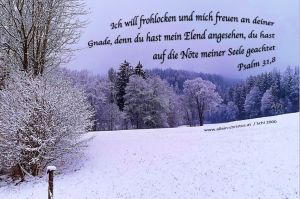Psalm 31,8 - Ich will frohlocken und mich freuen an deiner Gnade, denn du hast mein Elend angesehen, du hast auf die Nöte meiner Seele geachtet.