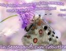 Psalm 55,23 a - Wirf dein Anliegen auf den Herrn und er wird für dich sorgen